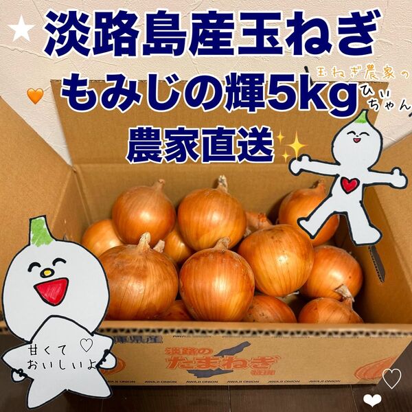 淡路島産完熟成玉ねぎ晩生もみじの輝5kg☆農家直送