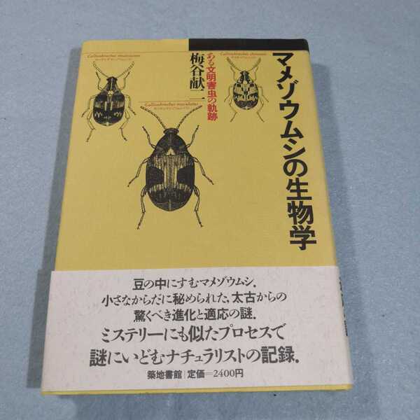 マメゾウムシの生物学‐ある文明害虫の軌跡/梅谷献二●送料無料・匿名配送