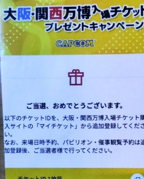 大阪関西万博 ペアチケット
