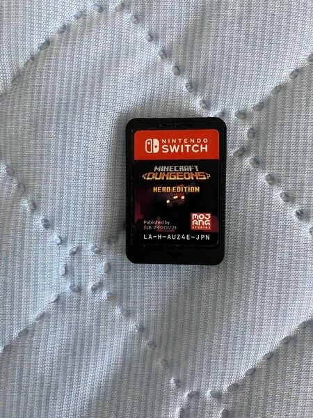 マインクラフトダンジョンズ Switch ソフトのみ動作確認済み