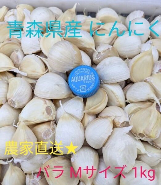 令和7年度 青森県産 福地ホワイト ニンニク バラ 1kg