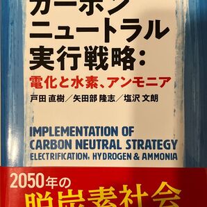 カーボンニュートラル実行戦略:電化と水素、アンモニア 戸田直樹/著 矢田部隆志/著 塩沢文朗/著