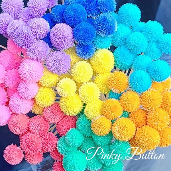 加工花材* パステル ピンキーボタン プリザーブドフラワー ハーバリウム レジン アレンジメント 花材