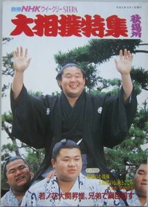 大相撲特集　若乃花　1993.9　秋場所　(I538)