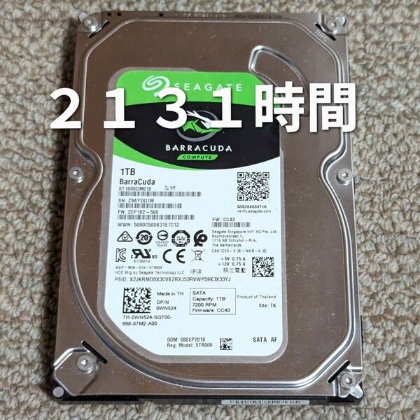1TB SATA ハードディスク 1000GB HDD SEAGATE ST1000DM010 3.5 インチ 2131時間