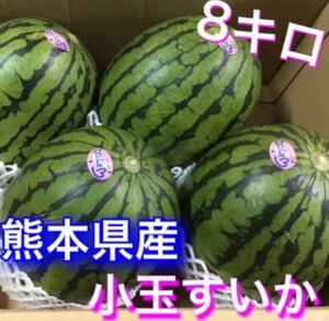 熊本産訳あり小玉すいか箱込み8キロ