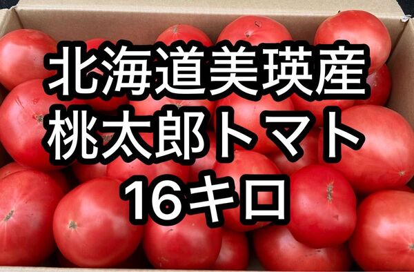 北海道美瑛産 フレッシュ&ジューシー!訳あり桃太郎トマト16キロ