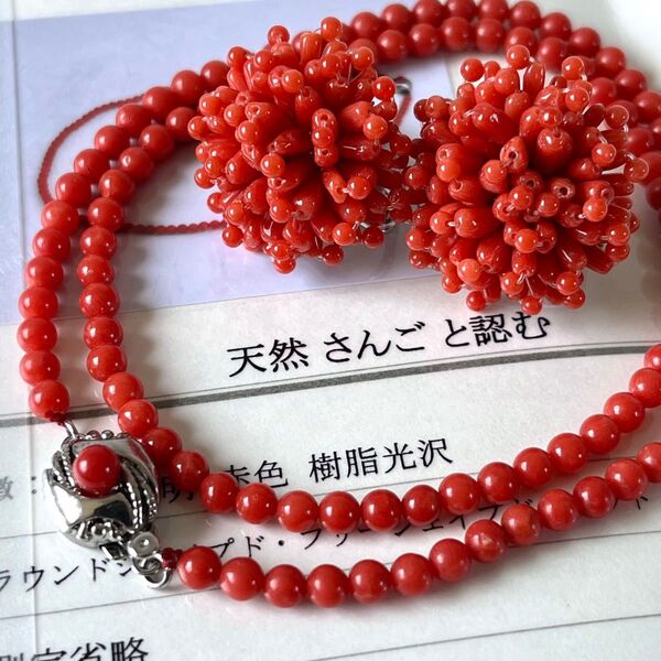 鑑別書◇血赤珊瑚 丸玉 ネックレス Gシルバー刻印&イヤリング コーラル サンゴ アクセサリー