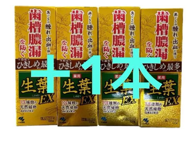 小林製薬の薬用ハミガキ EX 100gx5本セット