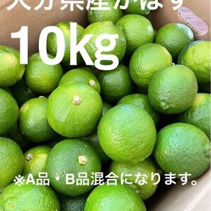 大分県産カボス(かぼす