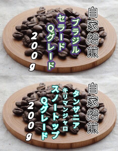 【ブラジル】セラード【タンザニア】スノートップ 自家焙煎コーヒー豆 各200g(自家焙煎 コーヒー豆 コーヒー)