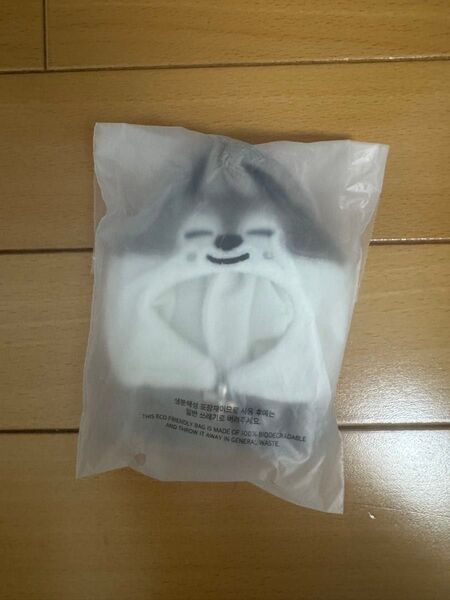 straykids スキズ OUTFIT 10cm 5clock ペンミ ウルフチャン バンチャン ぬいぐるみ ぬい キーホルダー