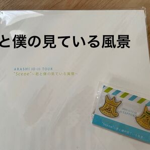 嵐 2010 君と僕の見ている風景 ツアーパンフレット&会場限定グッズ