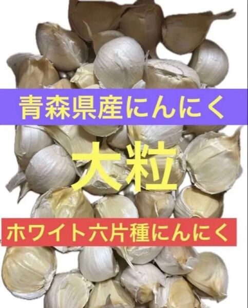 にんにく 大粒にんにく520g Lサイズ以上 厳選にんにく 青森にんにく ホワイト六片種にんにく 国産にんにくお徳用 ネット入り