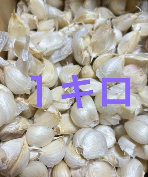 バラにんにく1キロ 青森県産にんにく ホワイト六片種にんにく 大中小粒 にんにく 青森にんにく
