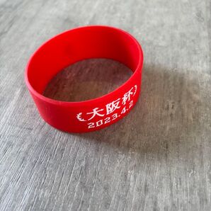 2023 大阪杯 バンド
