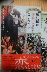 激レア/ SS+小冊子+帯付「チェンジリング2 黒妖精は聖騎士の愛をこいねがう」沙野風結子/奈良千春