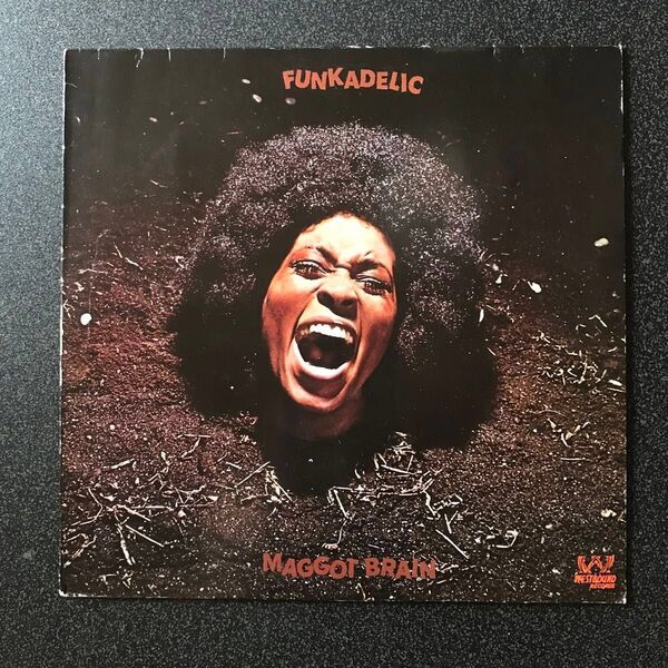 ◆ FUNKADELIC《Maggot Brain》 LPレコード (輸入盤)