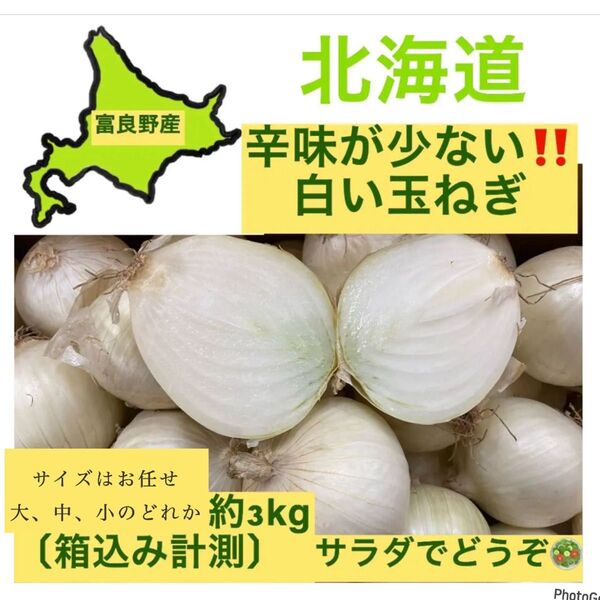 北海道2025年【期間限定サラダもok北海道の白い玉ねぎ約3kg〔箱込み計測】常温発送