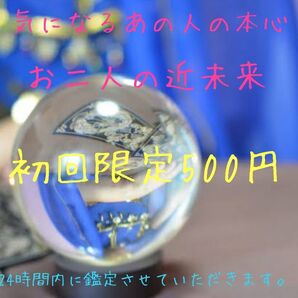 初回限定割引き価格!!気になるあの人の気持ちとお二人のこれから占い