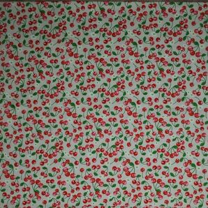 ハギレS3★オックス★ベージュ★さくらんぼ★生地巾×1m(変更可)