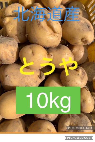 北海道産じゃがいも とうや10kg