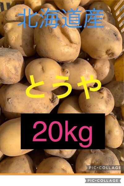 北海道産じゃがいも とうや20kg