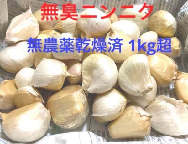 無臭ニンニク 無農薬バラ1kg超