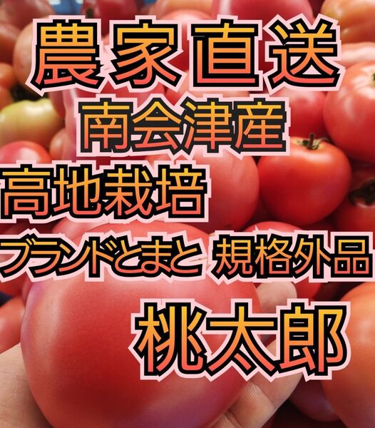 味の濃いトマト 2.2キロ 規格外 南会津産 農薬最低限