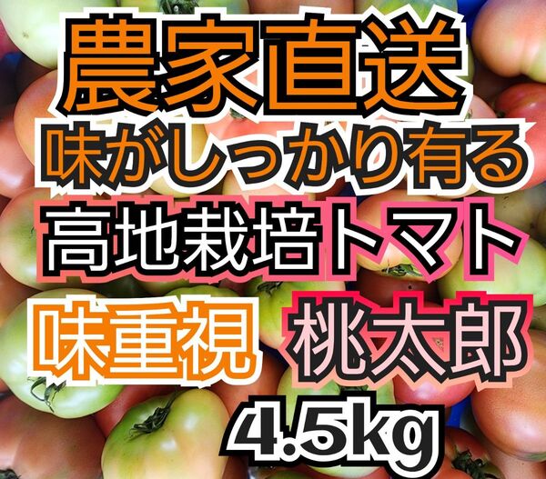 味の濃いトマト 4.5キロ 規格外 南会津産 農薬最低限