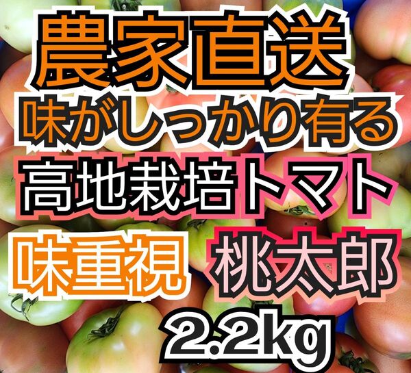 味の濃いトマト 2.2キロ 規格外 南会津産 農薬最低限