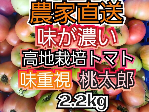 味の濃いトマト 2.2キロ 規格外 南会津産 農薬最低限