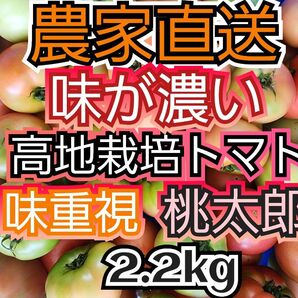 味の濃いトマト 2キロ 規格外 南会津産 農薬最低限