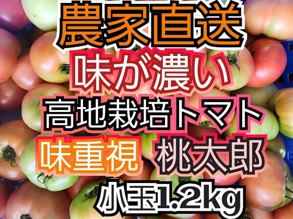 味が濃いトマト 1.2キロ 南会津産 規格外 農薬最低限