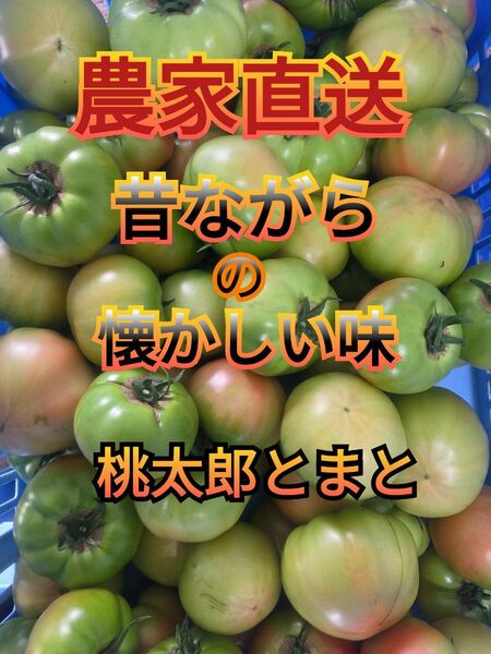 味の濃いトマト 2.2キロ 規格外 南会津産 農薬最低限