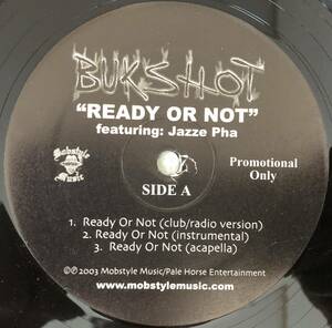 SOUTH / US PROMO ONLY / BUKSHOT / READY OR NOT FEAT JAZZE PHA / BACK TO THE VILLE / TEAR THE ROOF OFF / 2003 HIPHOP