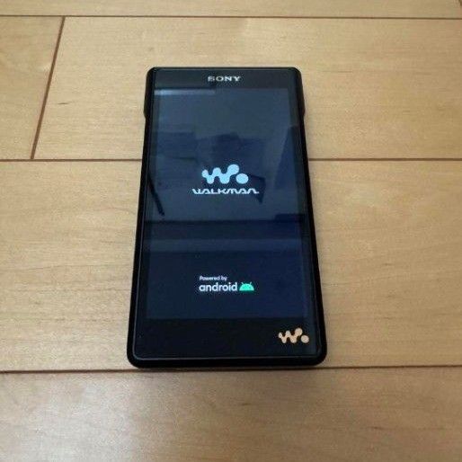 【美品】SONY ウォークマン NW-WM1AM2
