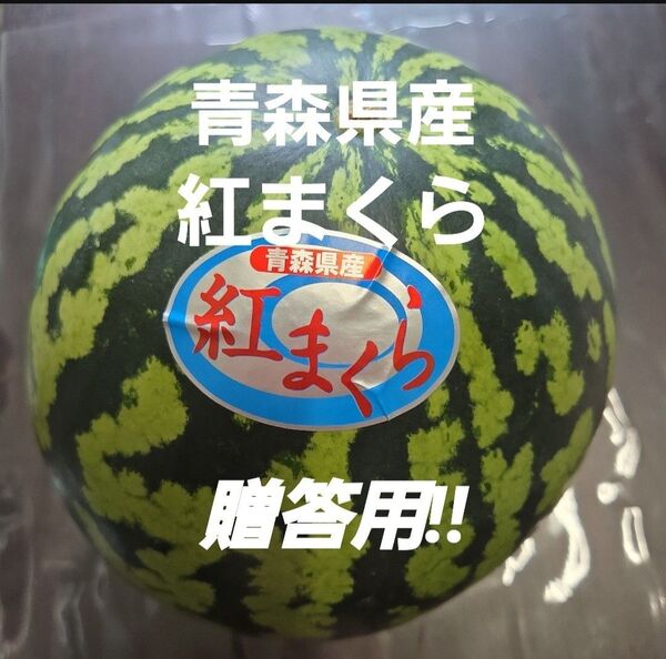 ★期間限定★青森県産 紅まくら スイカ 贈答用 2玉以上&多品種ご希望の方はコメントにてお知らせください! ⑳