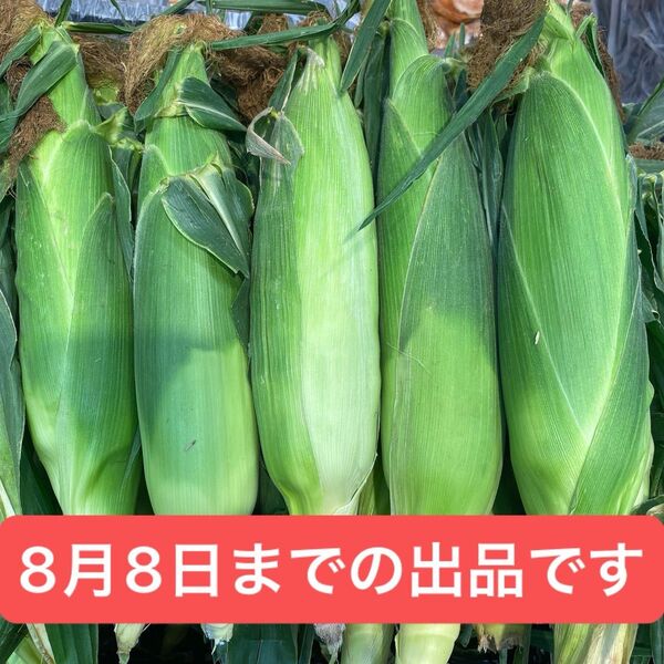 北海道十勝産 スイートコーン 10本