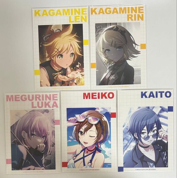 鏡音レン 鏡音リン 巡音ルカ MEIKO KAITO プロセカ アニメイト特典 サマーフェア ポストカード イラストカード