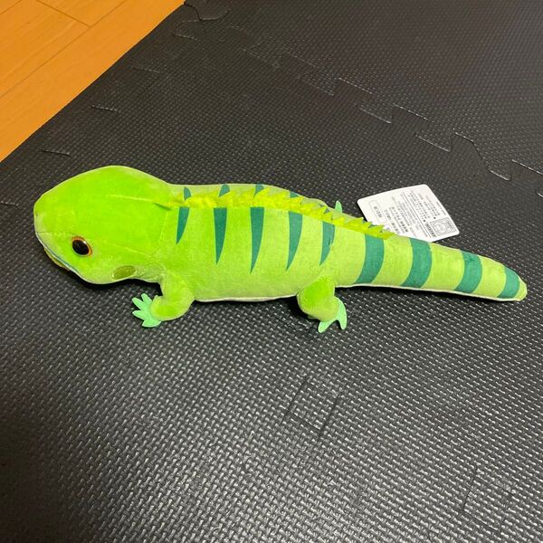 レオパのきいちゃん なかよし