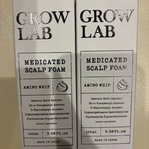 GROW LAB グロウラボ メディケイテッドスカルプフォーム 100ml 2本