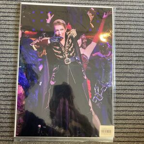 真風涼帆 四つ切り デリシュー 宝塚歌劇団