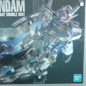 UNLEASHED RX-78-2 ガンダム ( PG 機動戦士ガンダム)アムロシャア連邦ジオンガンプラRGHG