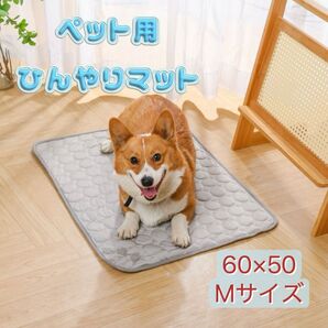 【値下げ】ひんやりマット ペット用 M 60×50 セール 特価 冷感 グレー 犬 猫 キルティング 洗濯可能 洗い替え 多頭飼い