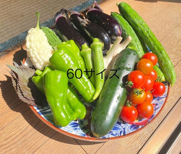 野菜詰め合わせ60サイズ