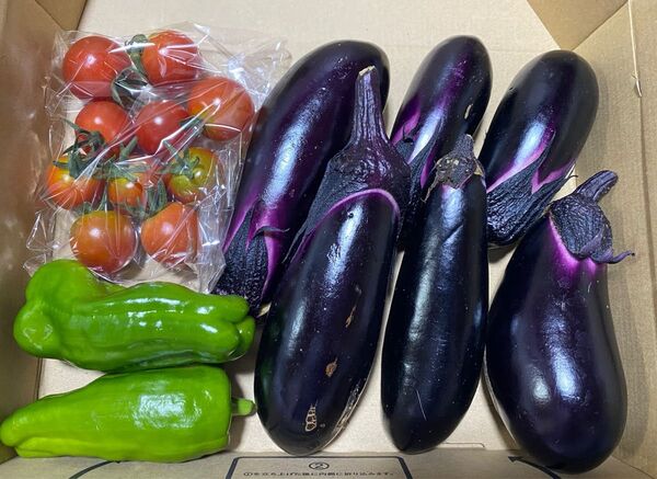 野菜詰め合わせセット