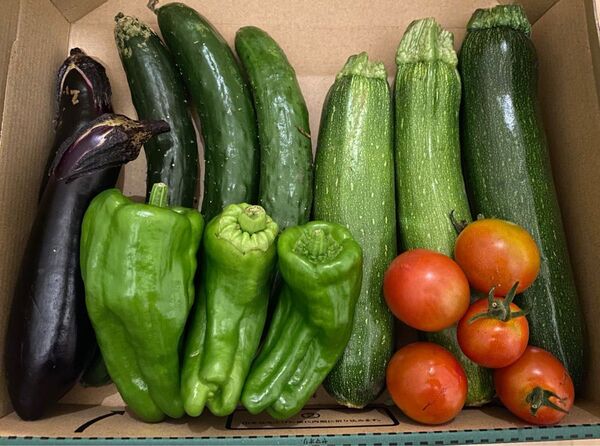 野菜詰め合わせセット