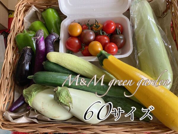 北海道産野菜セット詰め合わせ60サイズ