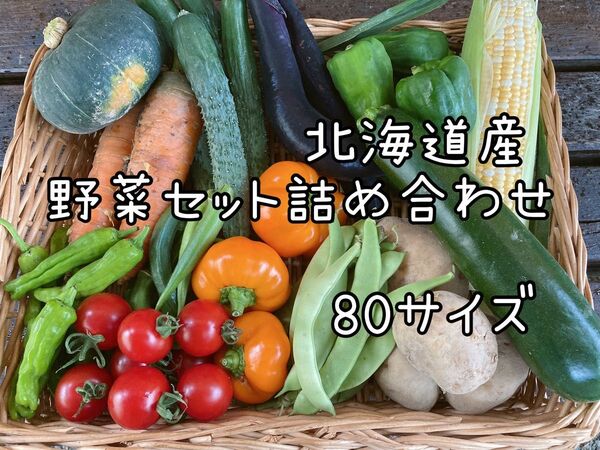 北海道産野菜セット詰め合わせ80サイズ